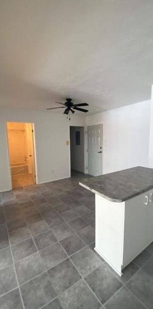 GRAND ET LUMINEUX 4.5 DISPONIBLE 1er JUILLET 2025 - Photo 1