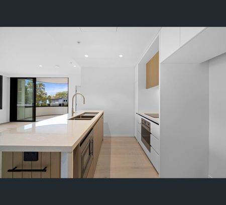 30 Young Street, Randwick, NSW 2031 - Photo 4