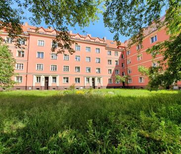 Kawaler na wynajem blisko Centrum - Zdjęcie 1