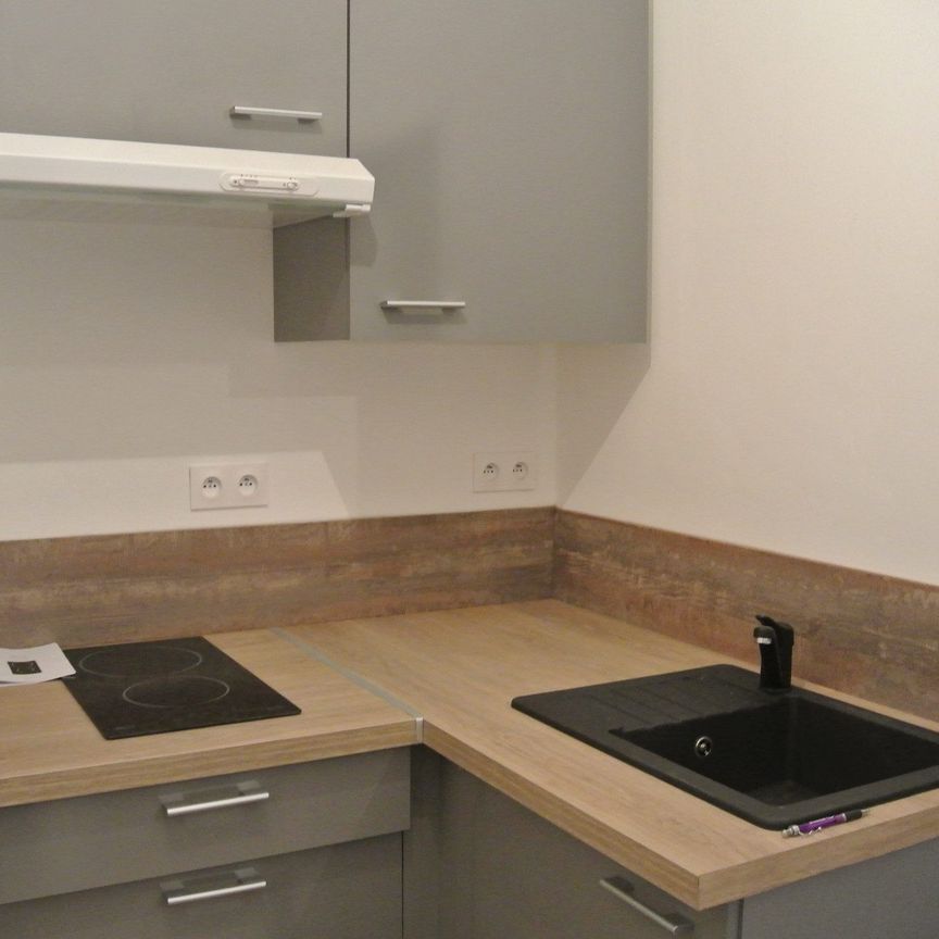 Location Appartement 2 pièces 34m² CONDRIEU 69420 - Photo 1