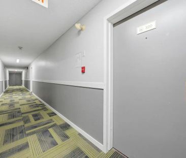 - 1 Bedroom at Lakewood Manor - Photo 4