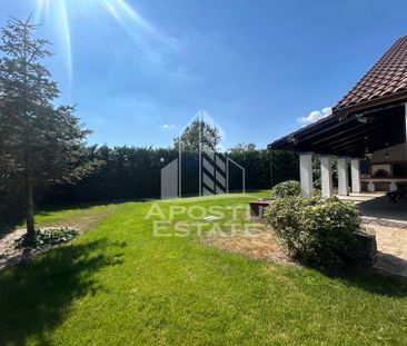 Casa cu 5 camere de inchiriat, curte proprie, Sanmihaiu Roman, Timis - Photo 4
