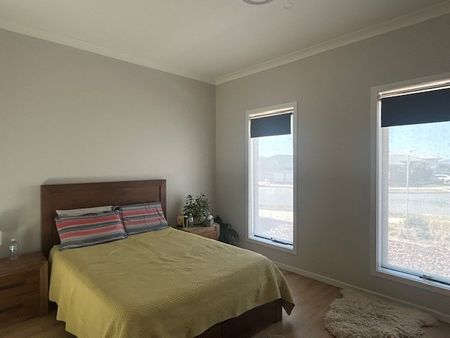 79 Oxalis Crescent, Tralee NSW 2620 - House For Rent | Domain - Photo 5