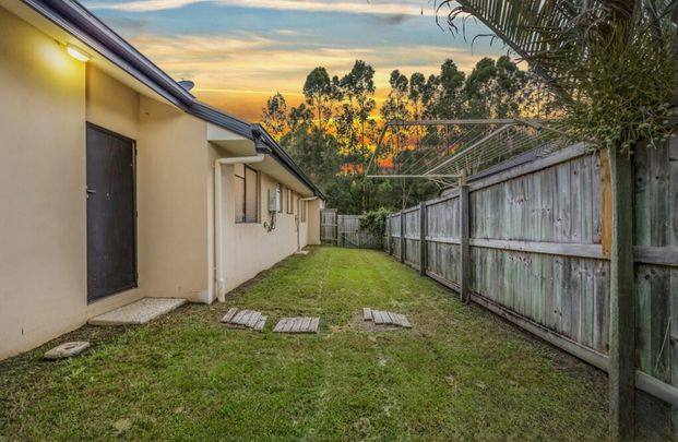 31 Parkside Drive, Beerwah QLD 4519 - House For Rent - $750 | Domain - Photo 1