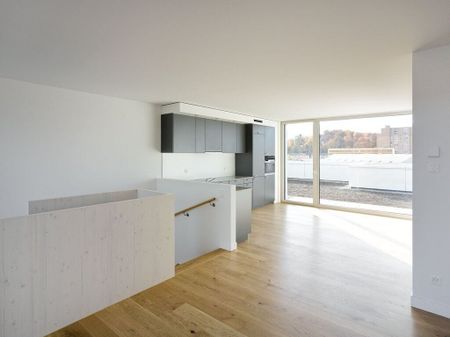 Vous êtes à la recherche d’un appartement urbain dans le quartier en plein essor du Dreispitz ? - Photo 2