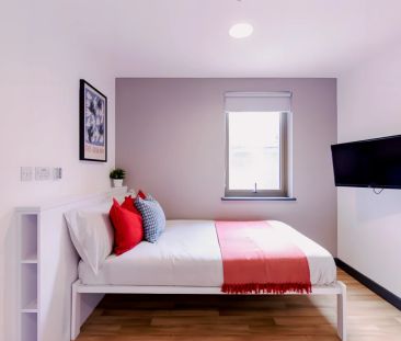 Classic Studio - Photo 6