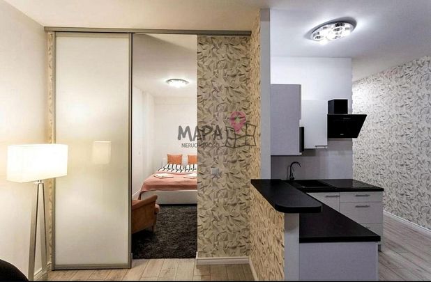 Na wynajem 2 atrakcyjne mieszkania-Stare Miasto - Zdjęcie 1