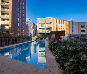 2104/82 Hay Street, Haymarket NSW 2000 - Apartment For Rent | Domain - Photo 2