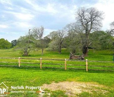 Heggatt, NR12 - Photo 5