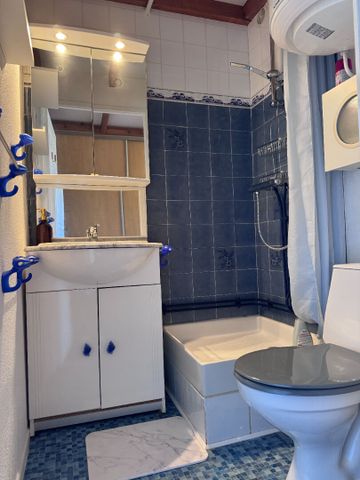 Location Appartement 1 pièce 17m² - Photo 5