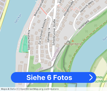 Neu renovierte 2 Zimmer-Singlewohnung in Hirschhorn! - Foto 1