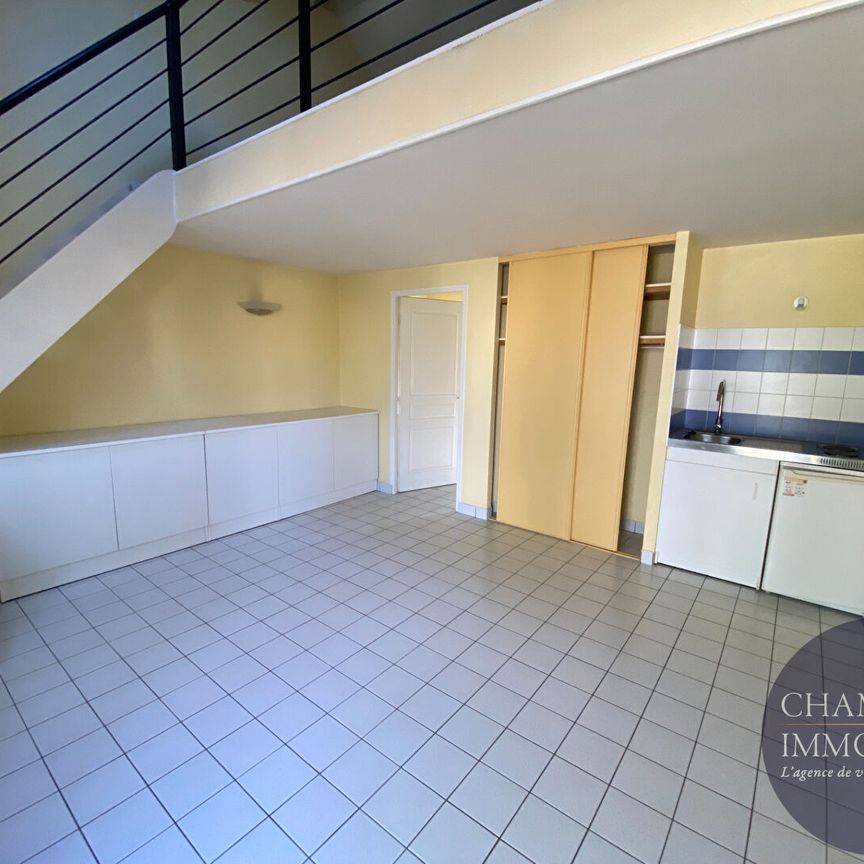 À louer charmant Appartement - Photo 1