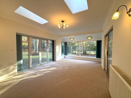 3 bedroom detached bungalow to rent - Photo 3