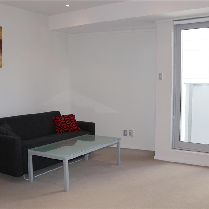 Fully Furnished One Bedroom Apartment - Photo 1