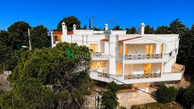 Μονοκατοικία για ενοικίαση Άγιος Δημήτριος (Παλαιό Ψυχικό) - Photo 1