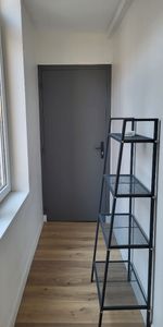 À LOUER – Studio MEUBLÉ de 19 m², Rue de la Bassée – CORMONTAIGNE réf 1002-20 - Photo 3