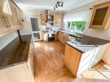 40 Parkland Avenue, Lisburn, BT28 3JP - Photo 4