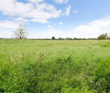 Selsey Road, Donnington, PO20 - Photo 3