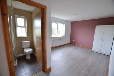 206 Belvedere Manor, Lurgan, BT67 9NX - Photo 2