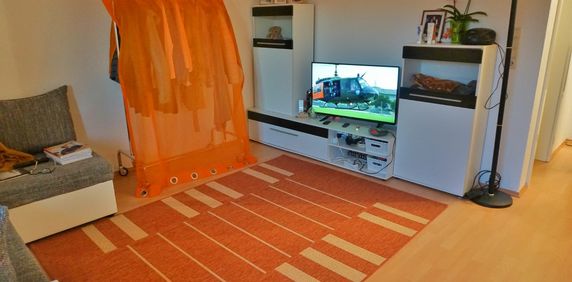 - 1 Raumwohnung in Radebeul - Photo 2