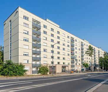 2-Zimmer Mietwohnung - Pirnaische Vorstadt - Foto 6