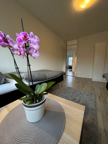 Hammarkroken, Angered - Photo 5