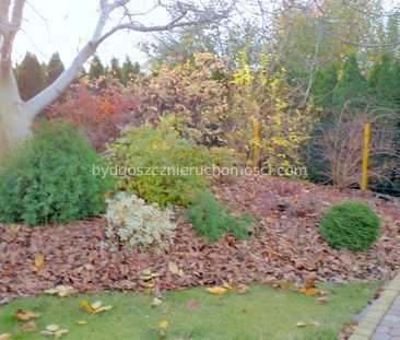 Do wynajęcia dom Osielsko - 109m2 - Zdjęcie 3