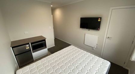 Short walk to Waikato Hospital - Photo 4