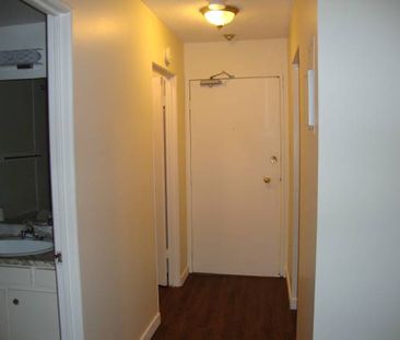 1 BDR-Welcome to Pine Manor clean & professionally managed - Photo 3