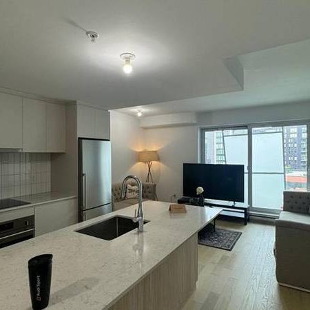 One bedroom furnished condo for rent in Griffintown - Photo 3