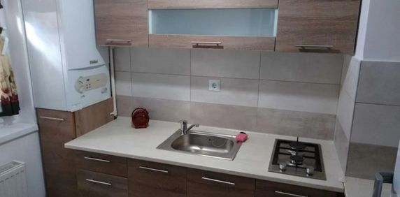 1 camera in zona Buziasului - Fotografie 2