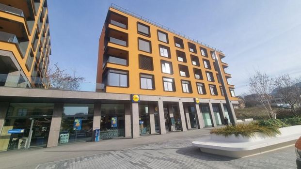 Superbe 1,5 pièce de 52 m2 au 4ème et dernier étage à louer dès le 15 mars 2026 - Photo 1