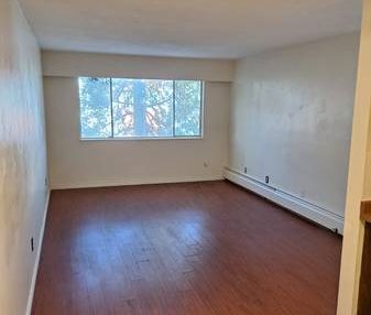 One Bedroom Apartment for Rent - Photo 1