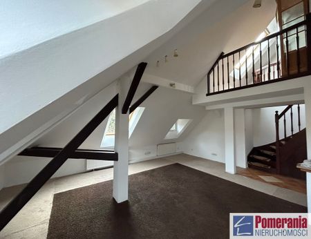 Jasne Błonia, ul. Monte Cassino - Zdjęcie 3