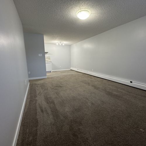 2 Weeks Free RENOVATED 1-Bedroom Apartment - SMALL PET FRIENDLY! - Photo 1