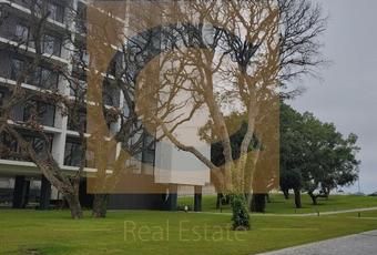 Apartamento T1 em Porto