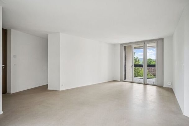 Calme et spacieux appartement de 4.5 pièces vous cherche - Foto 1