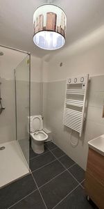 Location Appartement 1 pièce 43m² - Photo 4