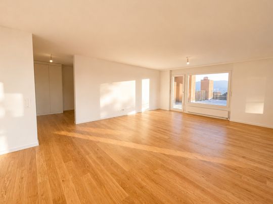 Attikawohnung mit grosser Terrasse und sensationeller Weitsicht - Photo 1