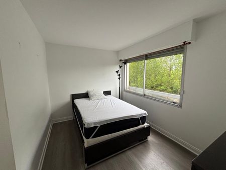 Location Appartement 3 pièces Meublé 67m² CHEVILLY LARUE 94550 - Photo 4