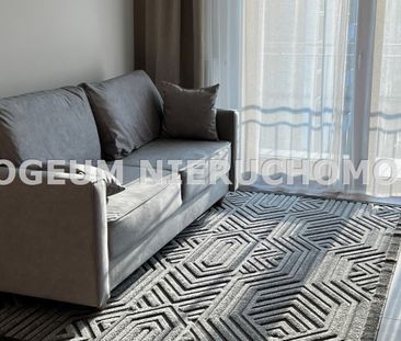 Mieszkanie na wynajem - Zdjęcie 4