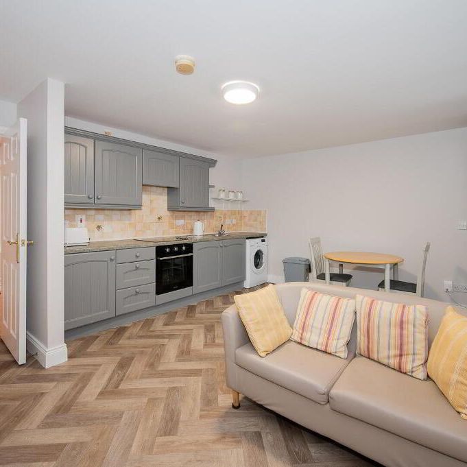 Apt 4, 85 Eglantine Avenue, Belfast, BT9 6EW - Photo 1