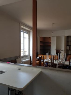 Location Appartement 8 pièces 183m² LYON 7ème - Photo 1