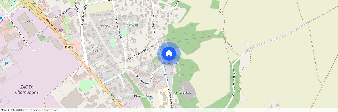 69250, Neuville-Sur-Saône