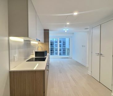 Appartement à louer - Montréal (Ville-Marie) (Centre) - Photo 6