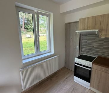Pronájem bytu 1+kk • 33 m² bez realitkyDivišov - Měchnov, Středočes... - Fotografie 4