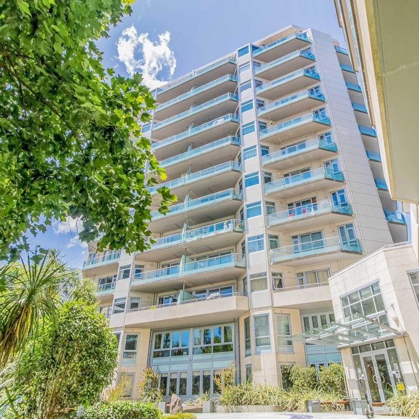 Recently Renovated Apartment - Photo 1