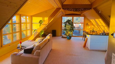 3½ Zimmer-Wohnung in Oberbuchsiten (SO), möbliert - Photo 3