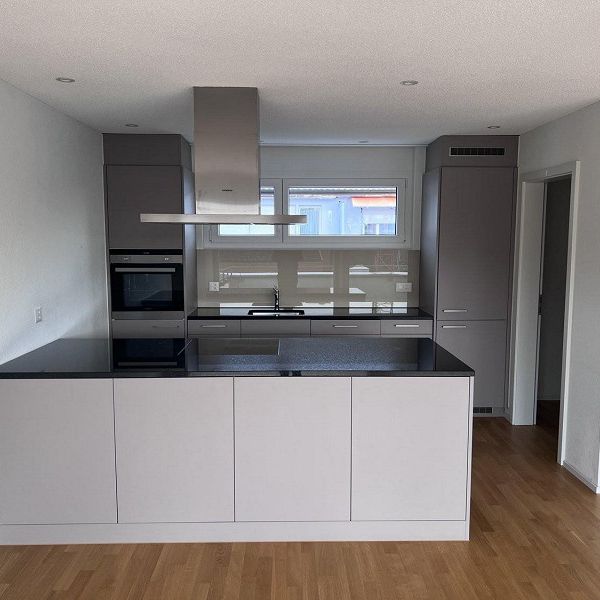 Traumwohnung mit riesiger Dachterrasse mit Abendsonne - Photo 1