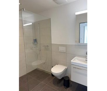 3½ Zimmer-Wohnung in Brunnen (SZ), möbliert, auf Zeit - Photo 6
